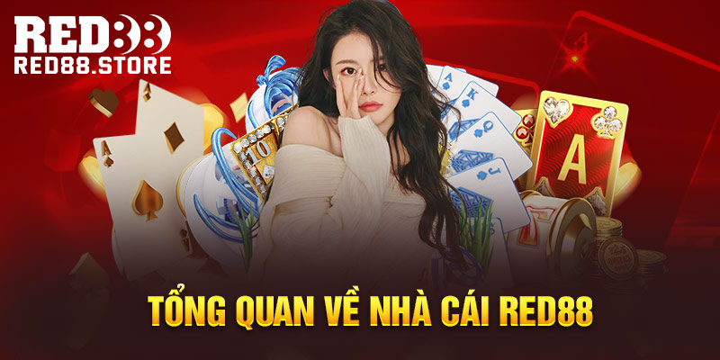 Hãy liên hệ với 100Win và chúng tôi sẽ cung cấp cho bạn giải pháp nhanh chóng và toàn diện - 100Win