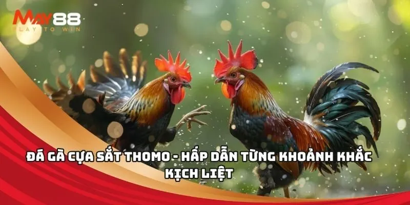 Chuyển tiền cho Fa88 bằng thẻ cào - Fa88