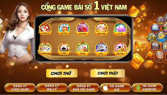 Giấy chứng nhận hoạt động hợp pháp của Dp568 t org - Dp568