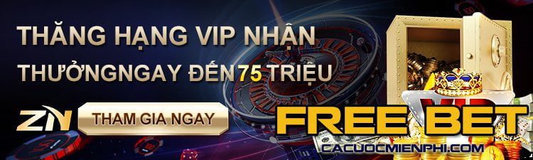 Ưu điểm và nhược điểm của các nền tảng trò chơi thẻ bài trực tuyến cấp Vivu88 - Vivu88