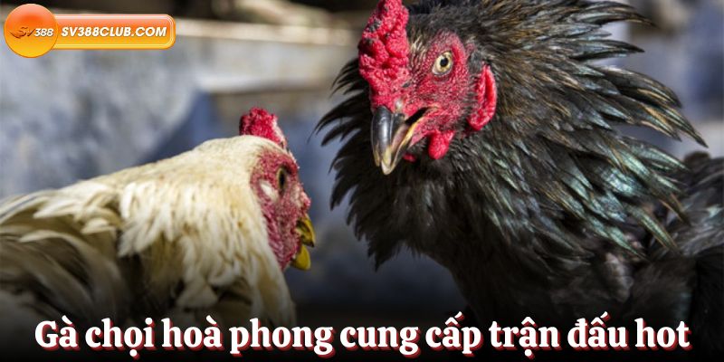 Hướng dẫn rút tiền trên nền tảng Bigboss - Bigboss