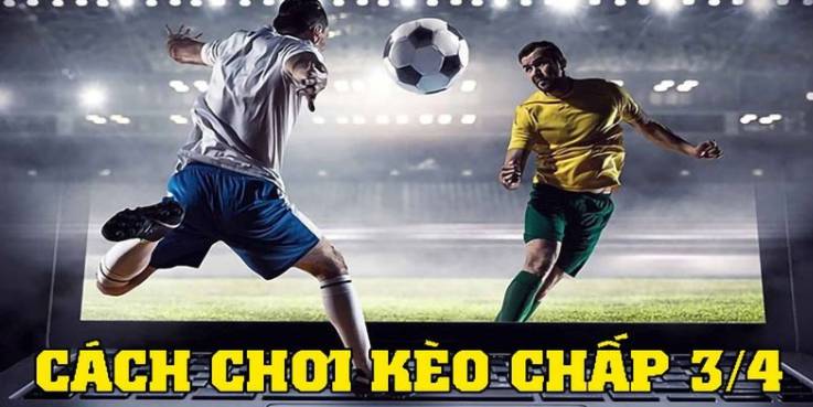 Nohu cung cấp dịch vụ cá cược thể thao cho các sự kiện và giải đấu - Nohu