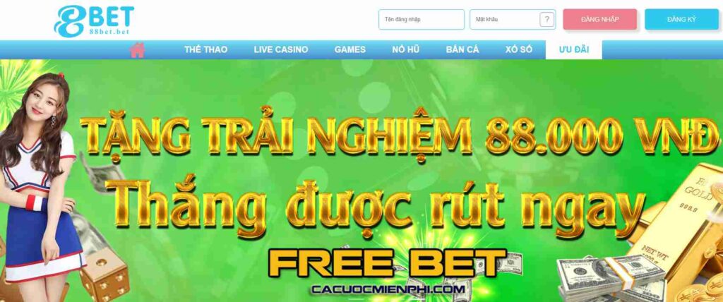 Thành viên cấp Ricwin có thể truy cập tất cả các liên kết cuộc thi - Ricwin