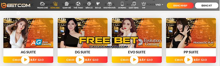 Hệ thống khen thưởng cấp độ 130Bet hoạt động như thế nào? - 130Bet