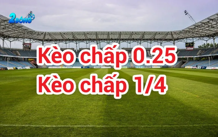 Chiến dịch quảng bá mới hấp dẫn nhất của 789Win - 789Win