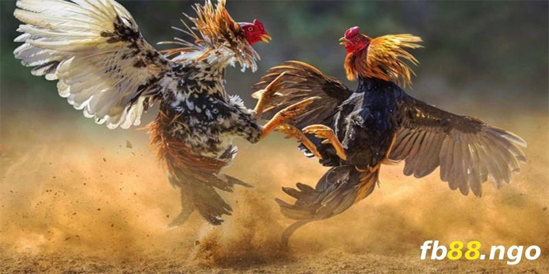 6 trò chơi xổ số phổ biến nhất trong số các trò chơi xổ số hạng Bet98 - Bet98