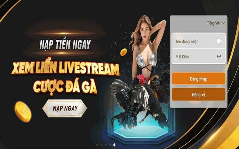 Tất cả các loại phiếu giảm giá C54 - C54