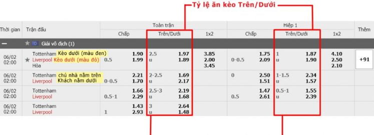 Hệ thống giải trí Daga88 - Daga88
