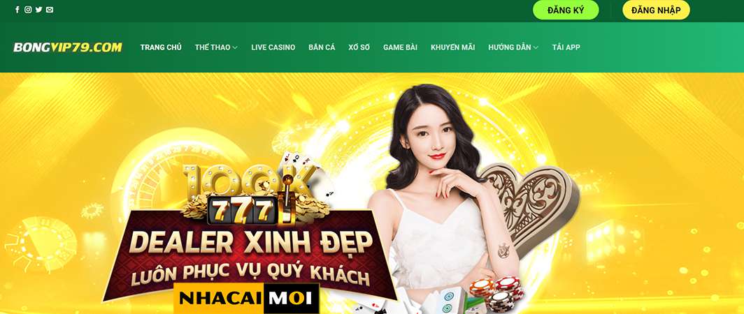 Thành viên thương hiệu Winvn - Winvn