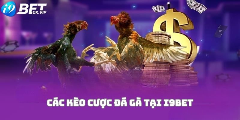 Lịch bảo trì của 365Vn là khi nào? - 365Vn