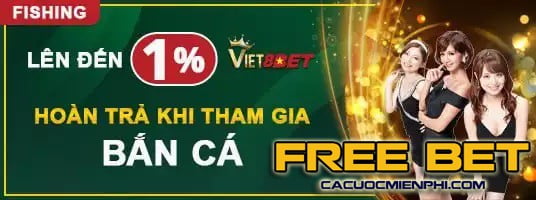 66Vn cung cấp các dịch vụ giải trí miễn phí - 66Vn