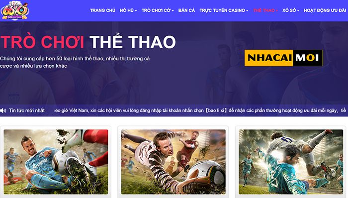Hiện có những hình thức cá cược nào dành cho các trận đấu đá gà cấp độ Banca? - Banca