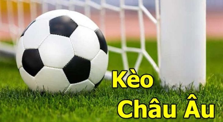 Hướng dẫn dành cho người mới bắt đầu đăng ký Bong888 - Bong888