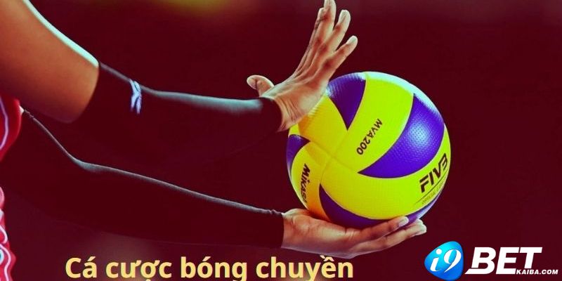Cần đáp ứng những điều kiện gì để trở thành nhà phân phối 23Vip? - 23Vip